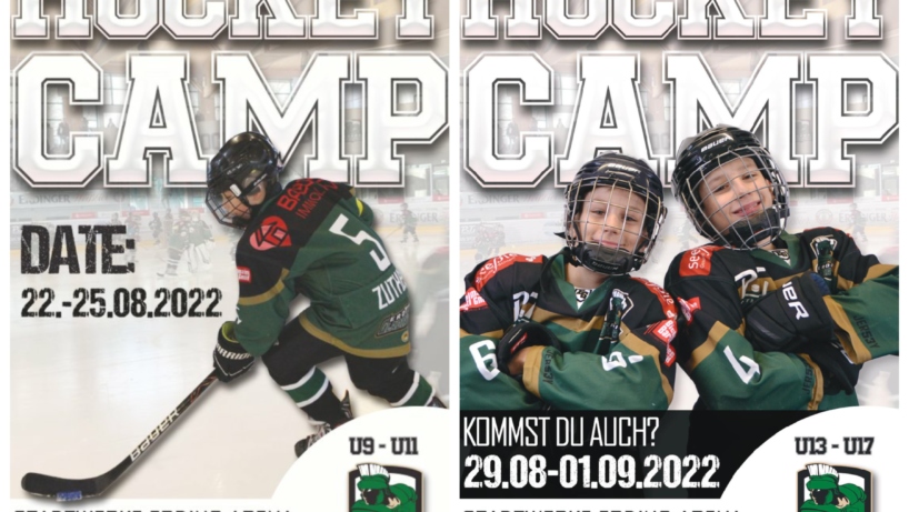 Hockey Skills Camp