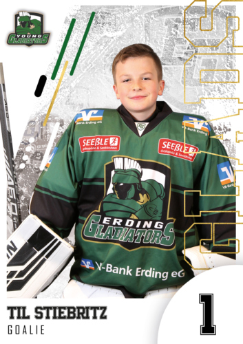 PlayerCard Til Stiebritz