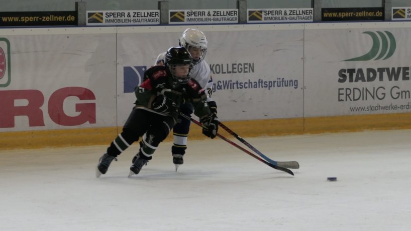 Bild Erding Young Gladiators U9