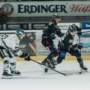 LINDAU ZU GAST, DANN NACH HEILBRONN: ZWEI ANSPRUCHSVOLLE AUFGABEN FÜR DIE GLADIATORS
