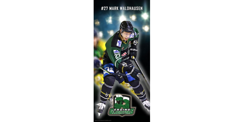 Wallpaper - Waldhausen #27 - Mobile 1125x2436 (9x19.5)